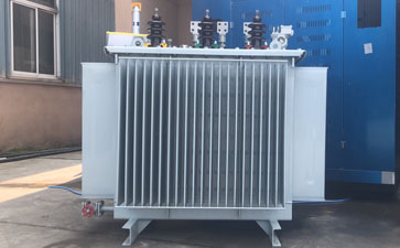天津S11-800KVA油浸式变压器视频